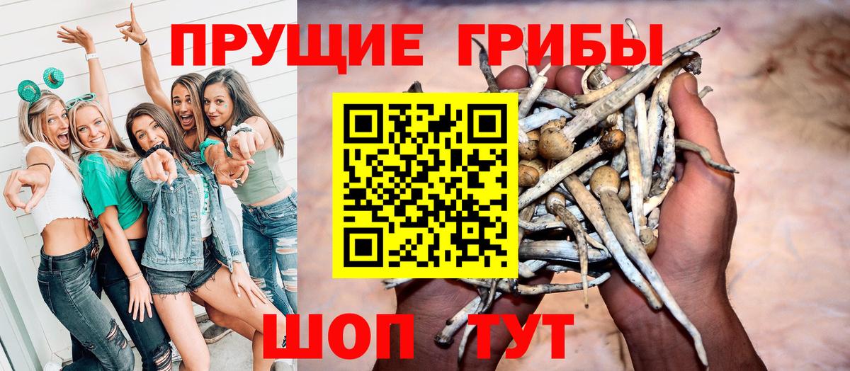 Псилоцибиновые грибы прущие грибы Верхний Уфалей