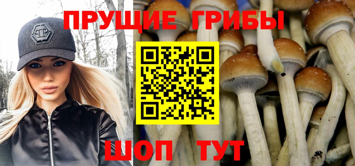 Галлюциногенные грибы прущие грибы  Псилоцибиновые грибы GOLDEN TEACHER  Верхний Уфалей  сколько стоит  Вход с VPN 